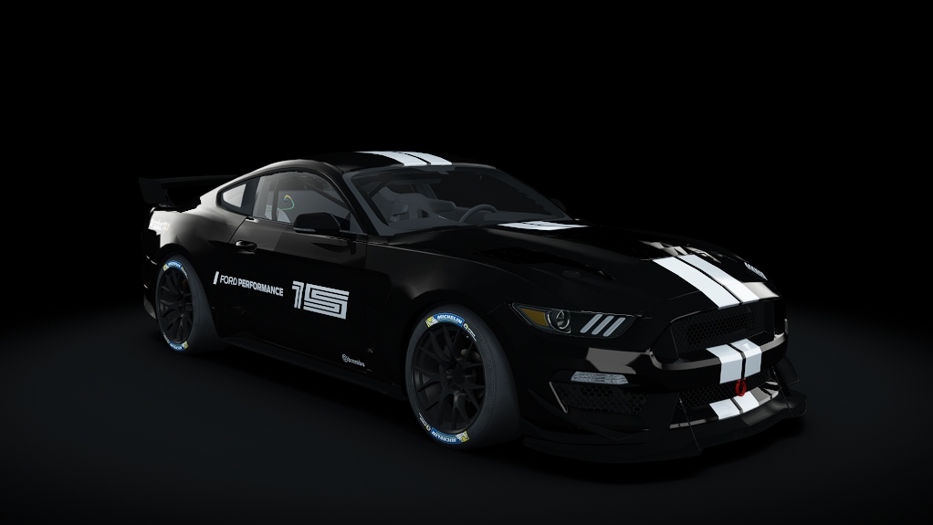 Mustang Fp Gt4 thumbnail